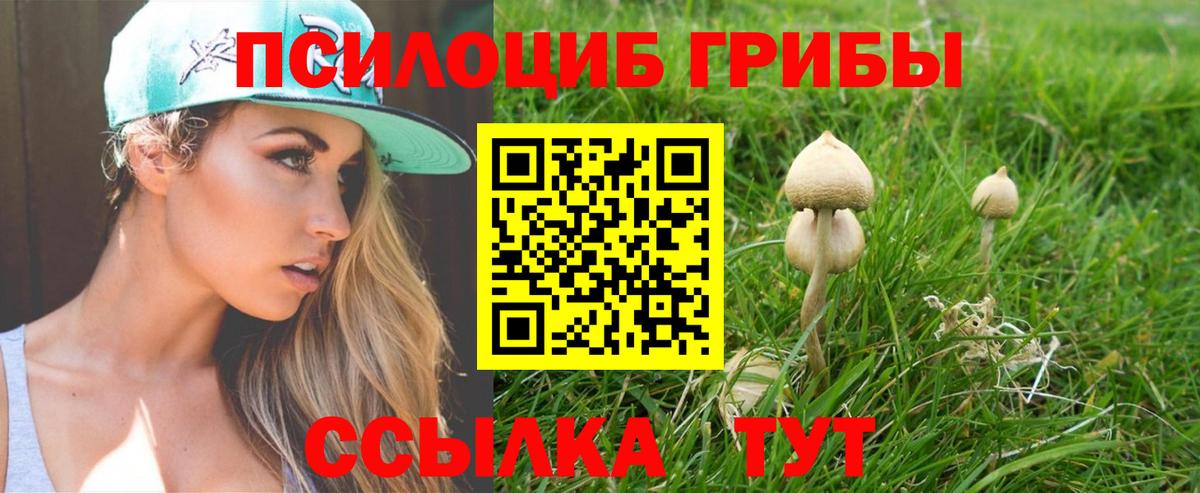Псилоцибиновые грибы MAGIC MUSHROOMS Нурлат