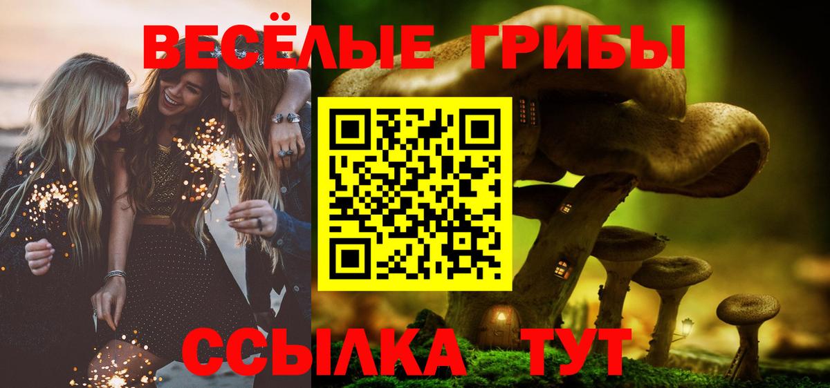 Псилоцибиновые грибы мухоморы  цены   Нурлат  Псилоцибиновые грибы ЛСД  Вход с VPN 